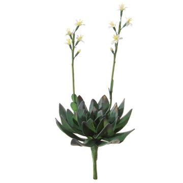 Aeonium artificiale LILKA con fiori, gambo, verde-bianco, 35cm