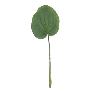 Foglia artificiale di hosta ZENISA, verde, 40cm