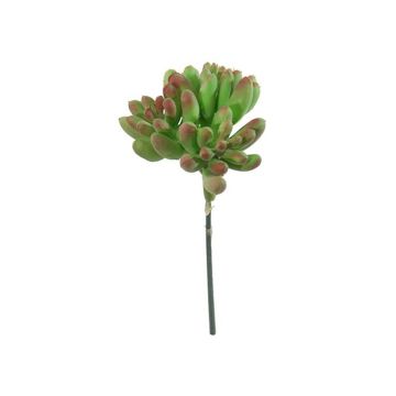 Sedum pachyphyllum artificiale ODANO, gambo, verde-rosso, 8cm