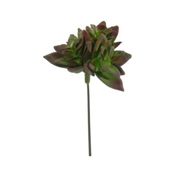 Echeveria macdougallii artificiale ODINU, gambo, verde bordeaux, 8cm