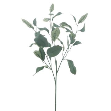 Ramo finto di eucalipto MALEEN, Eco Collection, verde, 75 cm