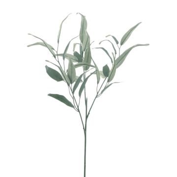 Ramo decorativo di eucalipto MALWINE, Eco Collection, verde, 75 cm
