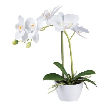Orchidea Phalaenopsis in tessuto FUNTIF in vaso di melamina, radici, bianco, 35 cm