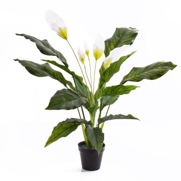 Spatifillo finto CASY, con fiori in vaso decorativo, bianco, 80cm