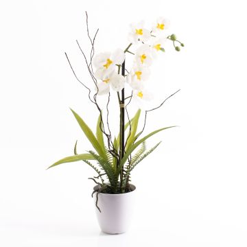 Phalaenopsis falsa MELINA in vaso decorativo, bianco, 65cm, Ø8cm