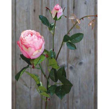 Rosa artificiale CARUSA, rosa, 80cm, Ø8cm