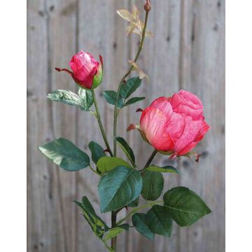 Rosa artificiale CARUSA, fucsia, 80cm, Ø8cm