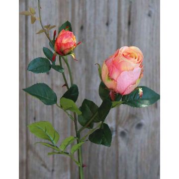 Rosa artificiale CARUSA, rosa-albicocca, 80cm, Ø8cm
