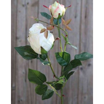 Rosa artificiale CARUSA, bianco-crema, 80cm, Ø8cm