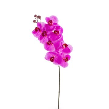 Orchidea Phalaenopsis sintetica AURELIA, fucsia, 95cm, Ø10cm