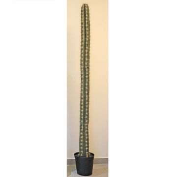 Cactus artificiale SALVADOR, verde, 205cm