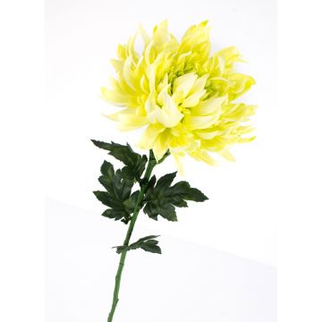 Crisantemo di simulazione KESARA, crema-verde, 65cm, Ø16cm
