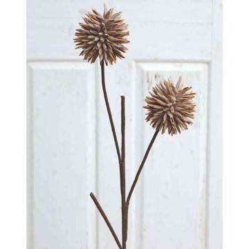 Allium artificiale CHIRARA, marrone, 95cm, Ø10cm