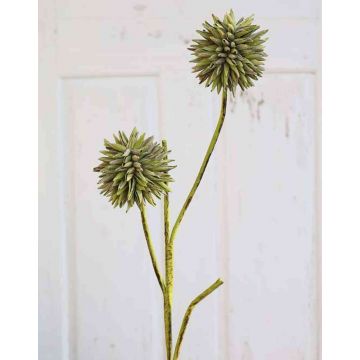 Allium artificiale CHIRARA, verde-marrone, 95cm, Ø10cm