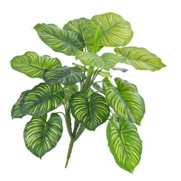 Pianta di calatea sintetica ULANI su stelo, verde, 45cm