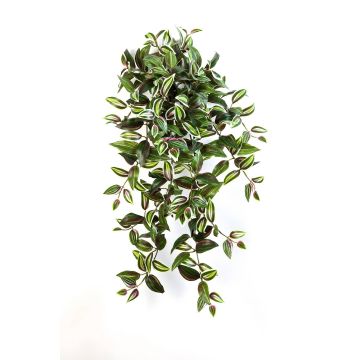 Tradescantia zebrina artificiale PANCHO, gambo, verde-lilla, 70cm