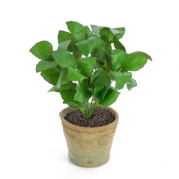 Basilico finto LUCANO, in vaso di terracotta , verde, 25cm, Ø20cm