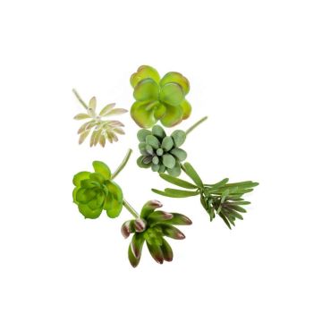 Set di succulente finte JADON gambo, 6 pz, multicolore, 13cm, Ø5cm