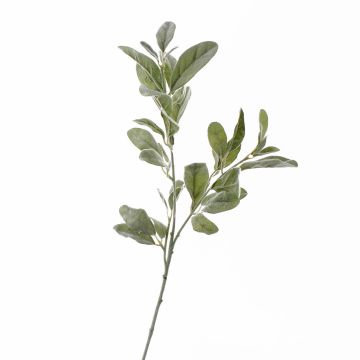 Ramo di stachys finto LEVIN, grigio-verde, 70cm
