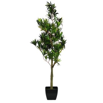 Podocarpus di plastica AMANDO, tronco artificiale, verde, 90cm