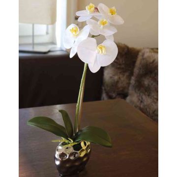 Orchidea phalaenopsis artificiale EMILIA, vaso di ceramica, bianco, 45cm