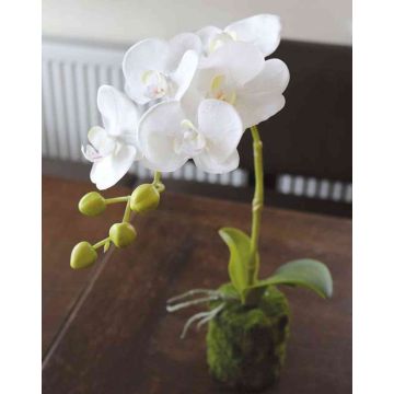 Orchidea Phalaenopsis artificiale VEENA con terriccio, bianco, 40cm
