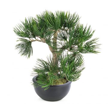 Pino bonsai sintetico CATALINA in ciotola per piante, verde, 35cm