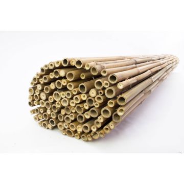 Tappetino in bambù JONAH in canne di bambù, colore naturale, 200cmx180cm