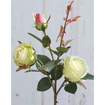 Rosa artificiale DELILAH, crema-verde, 55cm, Ø6cm