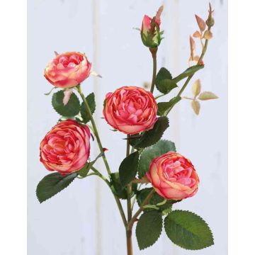 Rosa centifolia artificiale SABSE, rosa-albicocca, 55cm, Ø4-5cm