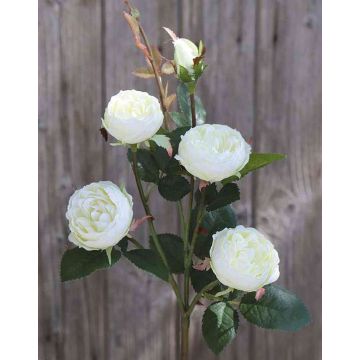 Rosa centifolia artificiale SABSE, crema-bianco, 55cm, Ø4-5cm