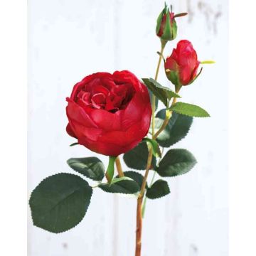 Rosa centifolia artificiale MIRETTA, rosso, 60cm, Ø3-9cm