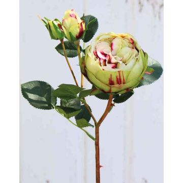 Rosa centifolia artificiale MIRETTA, verde-bordeaux, 60cm, Ø3-9cm