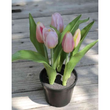 Tulipano artificiale LEANA in vaso decorativo, rosa-verde, 20cm, Ø2-4cm