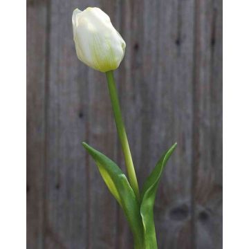 Tulipano artificiale LONA, bianco-verde, 45cm, Ø4cm