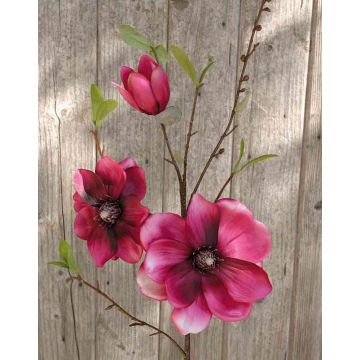 Ramo di magnolia finta FINAH, rosa, 90cm, Ø9-15cm