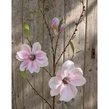 Ramo di magnolia decorativa FINAH, rosa, 90cm, Ø9-15cm