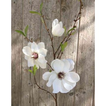 Ramo di magnolia finta FINAH, crema-bianco, 90cm, Ø9-15cm
