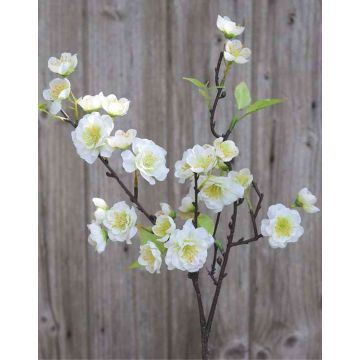 Ramo di fiore di ciliegio artificiale SOEY con fiori, crema-bianco, 45cm