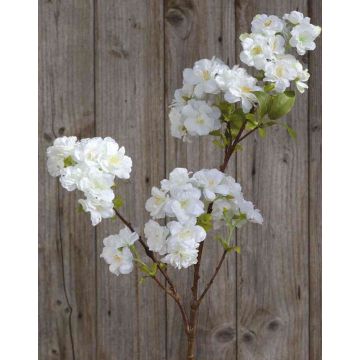 Ramo di ciliegio finto MATSUDA con fiori, crema-bianco, 80cm