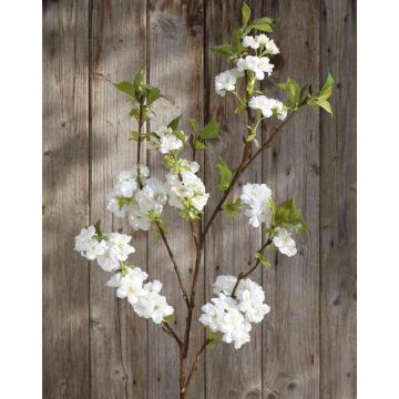 Ramo di ciliegio finto MATSUDA con fiori, crema-bianco, 130cm