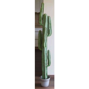 Cactus sintetico OLIVERO, in vaso decorativo, verde, 160cm