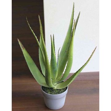 Aloe sintetico NAMIKA, in vaso decorativo, verde, 50cm, Ø25cm