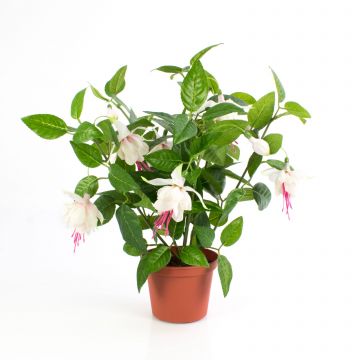 Fuchsia sintetica THAYNARA, con fiori, rosa pallido, 30cm