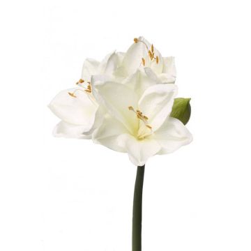 Amaryllis artificiale BENITA, bianco, 55cm, Ø10cm