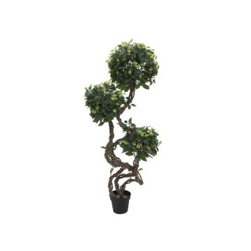 Ficus exotica di plastica MIYU, tronchi naturali, verde, 160cm