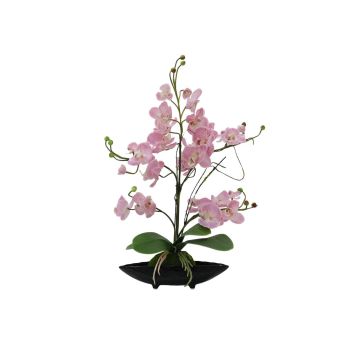 Orchidea falsa IVIE ciotola, zona trasversale, rosa, 50cm, Ø7-9cm