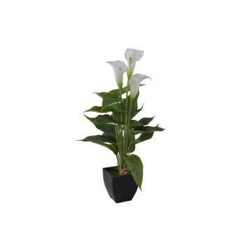 Calla di plastica JAMILA in vaso decorativo, bianco, 40cm, 4x6cm