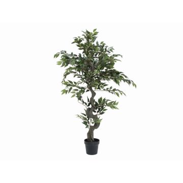 Ficus exotica di plastica YUMA, tronco artificiale, verde, 110cm