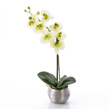 Orchidea Phalaenopsis artificiale EMILIA, vaso decorativo, crema-verde, 45cm